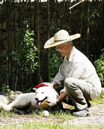 문재인 전 대표님 강아지들 | 인스티즈