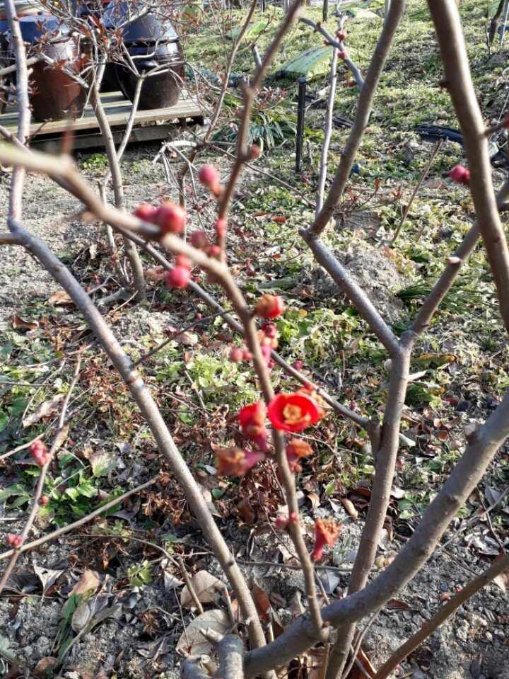 (주)길가옆에 이미지