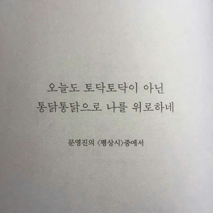 토닥토닥 치킨 이미지