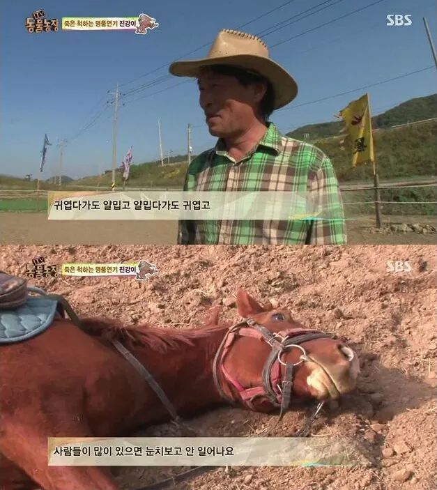 말도 안되는 말 | 인스티즈
