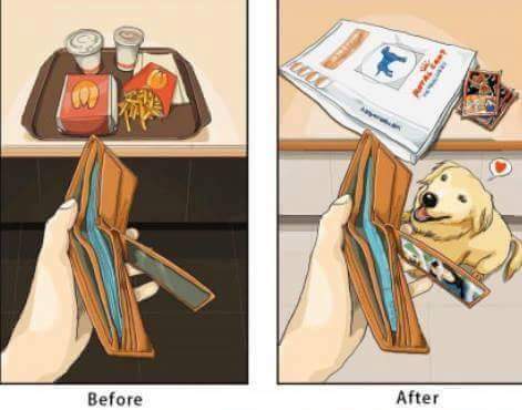 강아지 키우기 전과 후 | 인스티즈