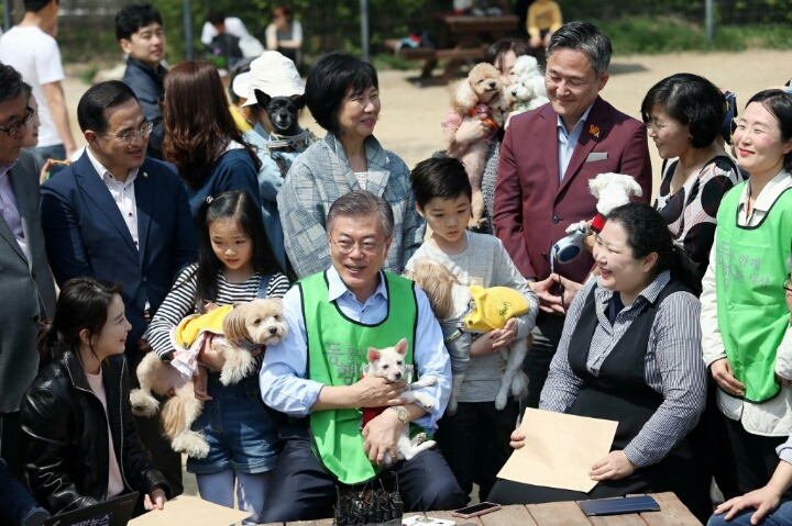 오늘자 문재인과 처음 만난 반려견들.jpg | 인스티즈