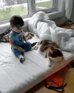 돼냥이가 좋은 이유.gif | 인스티즈