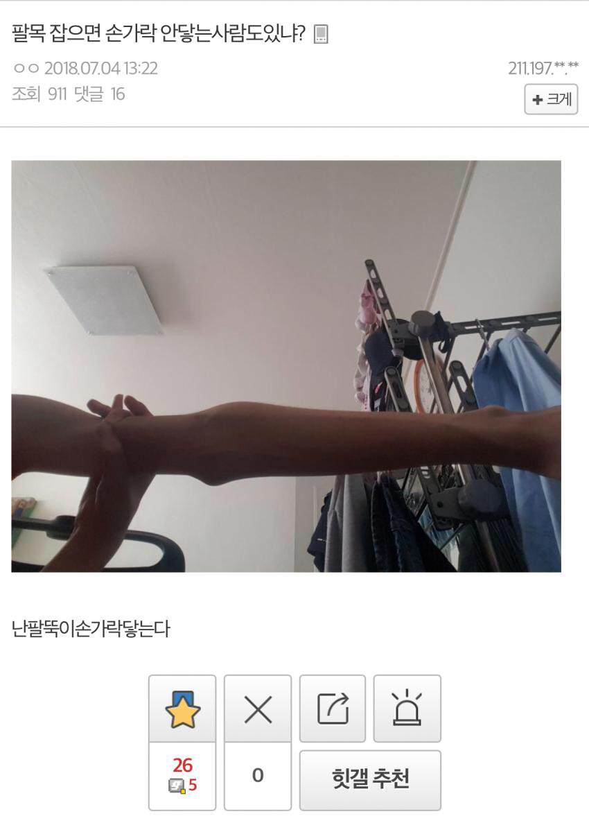 디씨 공익갤러리 레전드.jpg | 인스티즈