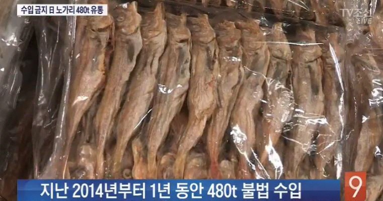 노가리 이미지