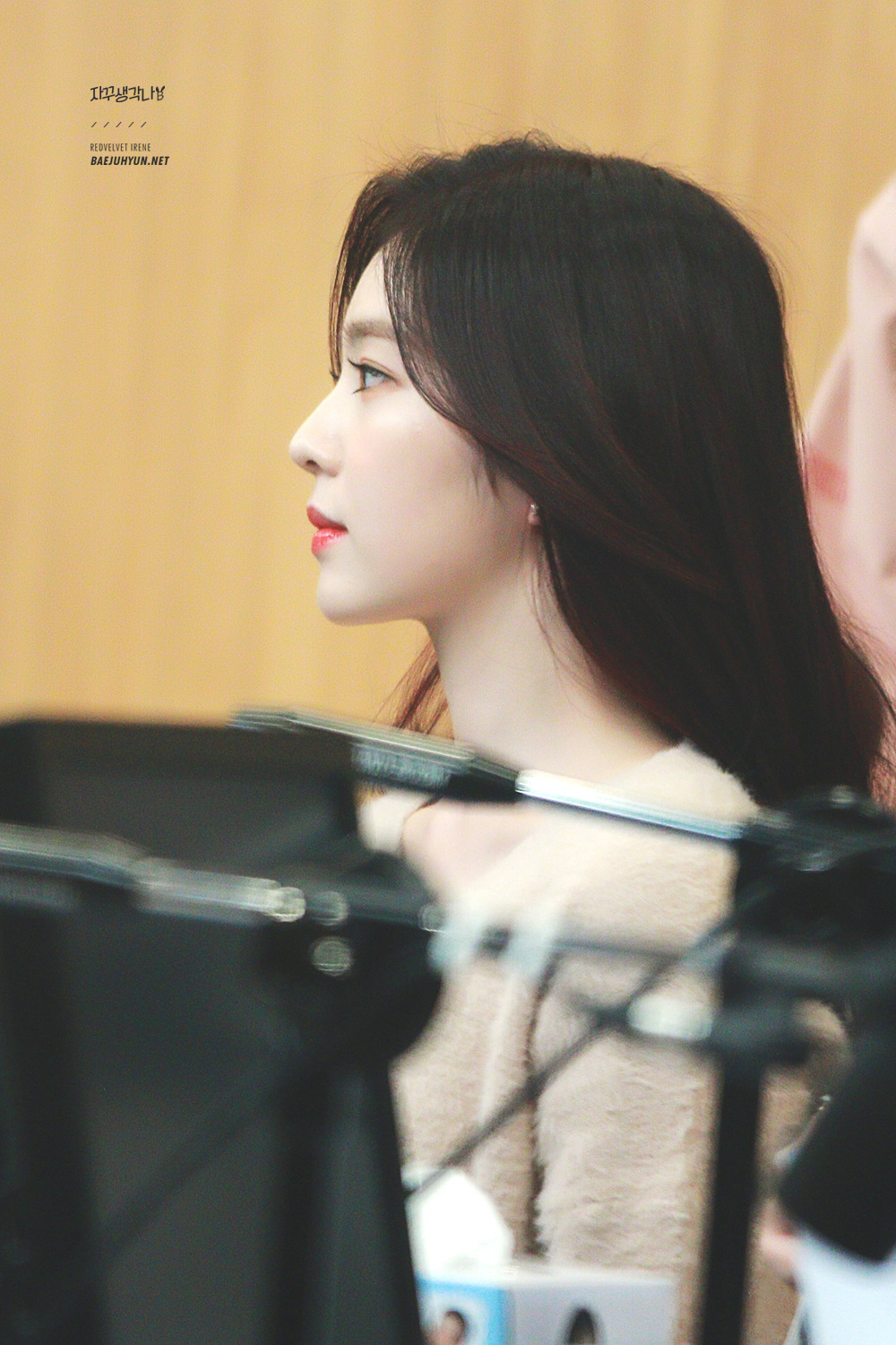 레드벨벳 아이린의 콧대.jpg | 인스티즈