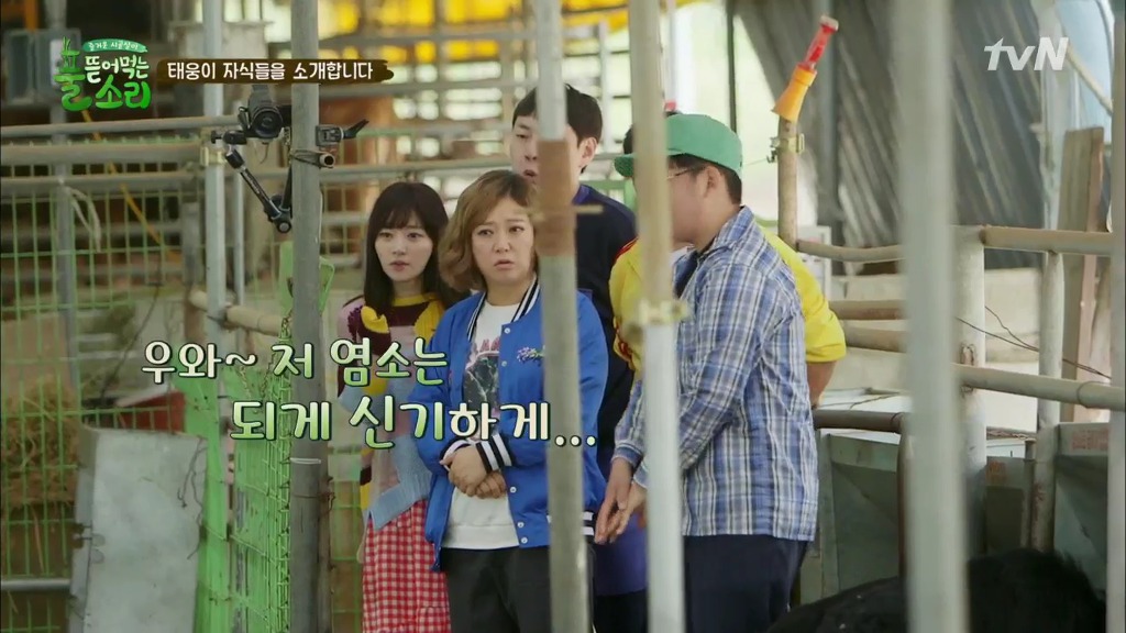 [풀뜯어먹는소리] 닭에서 시작해 소까지 살 수 있게 된 중딩농부 태웅.jpg | 인스티즈