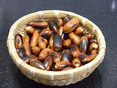 왕도토리 이미지