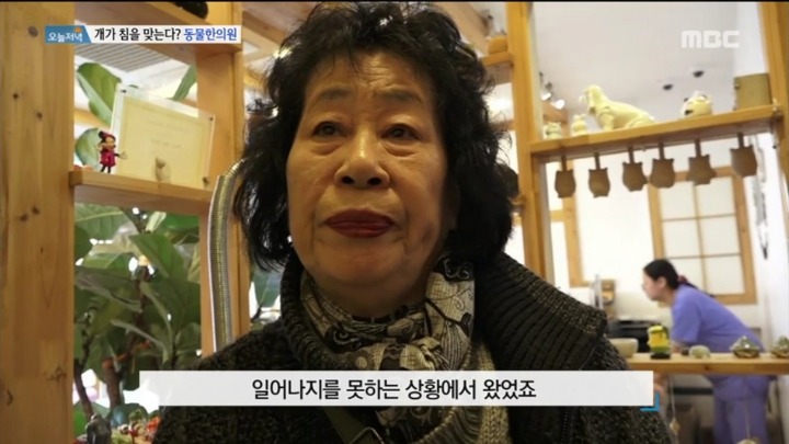 강아지 한의원.jpg | 인스티즈