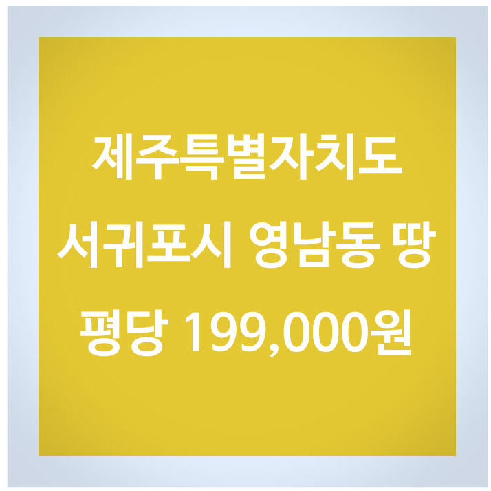 영남동 이미지