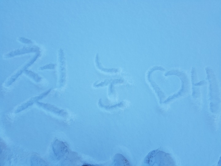 첫눈애 이미지