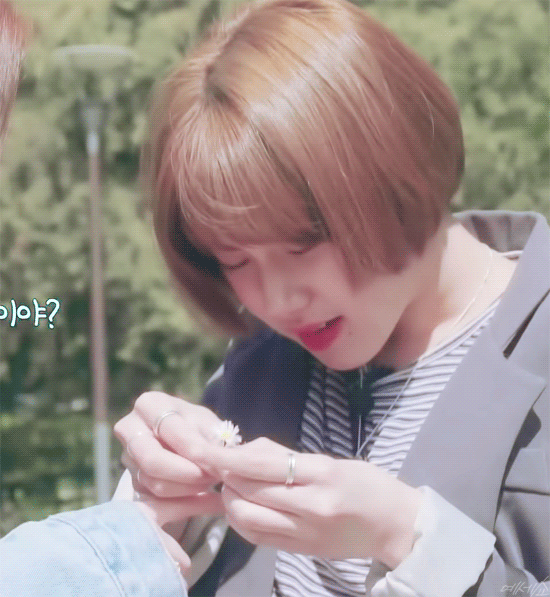 ???: 이제 벌들이 저한테 따라올지도 몰라요 | 인스티즈