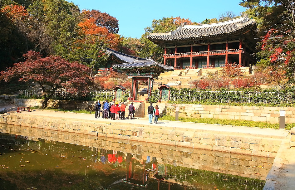 비원 이미지