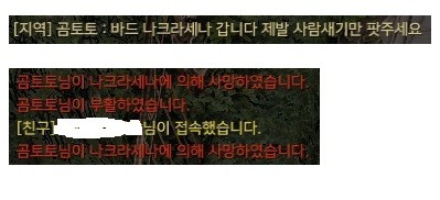 로스트아크 최정점의 고수들.jpg | 인스티즈