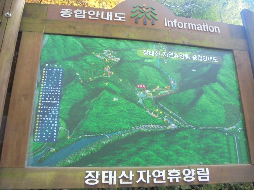 강남여행사 이미지