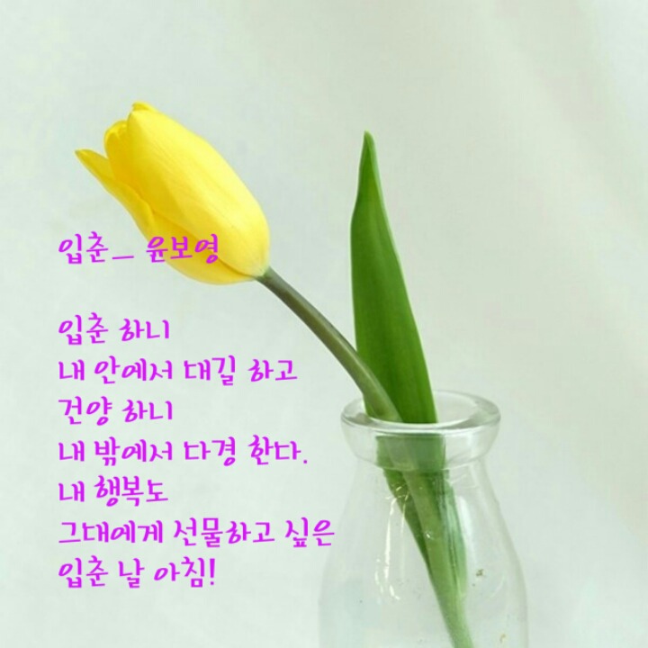 꽃님이 이미지