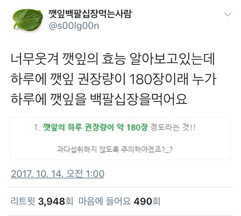 깻잎의 하루 권장량 : 180장 | 인스티즈