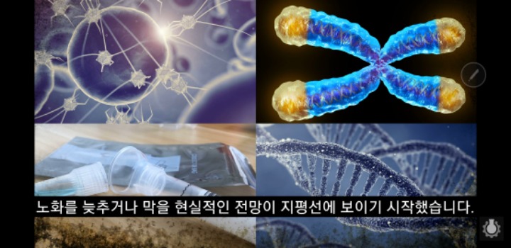 죽음이 정말 삶을 가치있게 하는 것일까? | 인스티즈