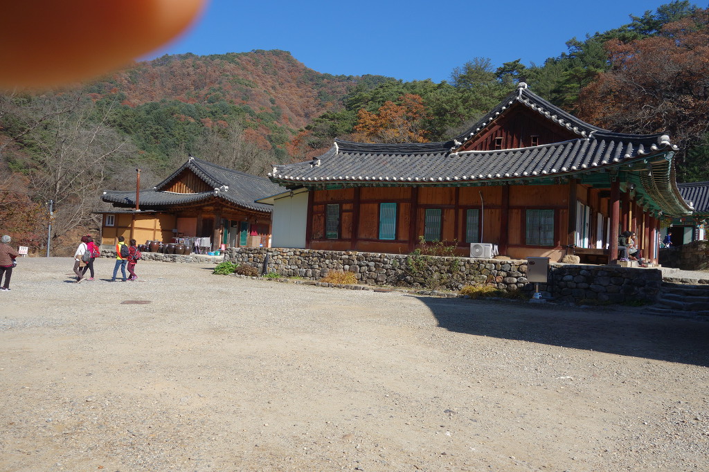 덕정초등학교 이미지