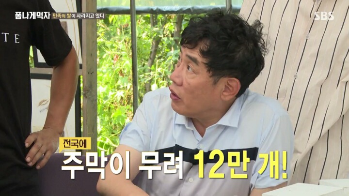 한반도의 토종 벼 품종.JPG | 인스티즈
