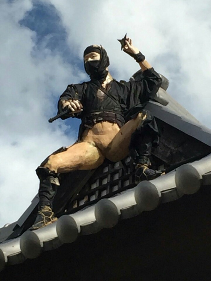 일본 닌자마을 태풍 대참사.jpg | 인스티즈