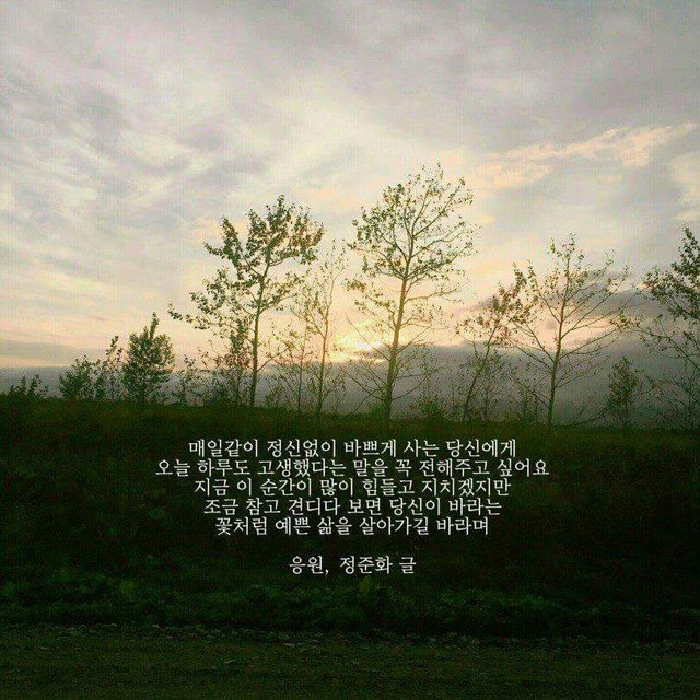 아사랑 이미지