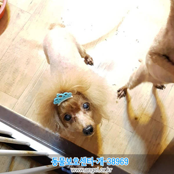 사이집 이미지