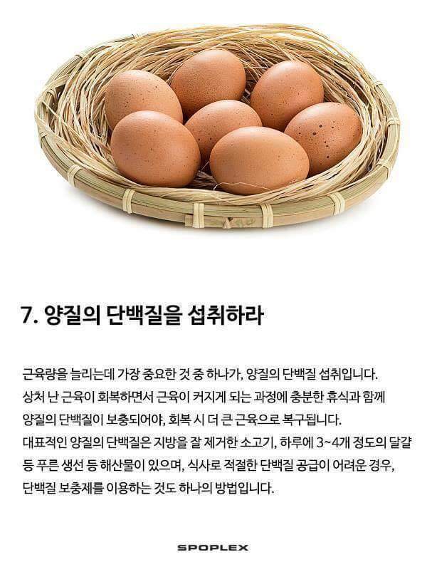 근육운동의 기본 | 인스티즈