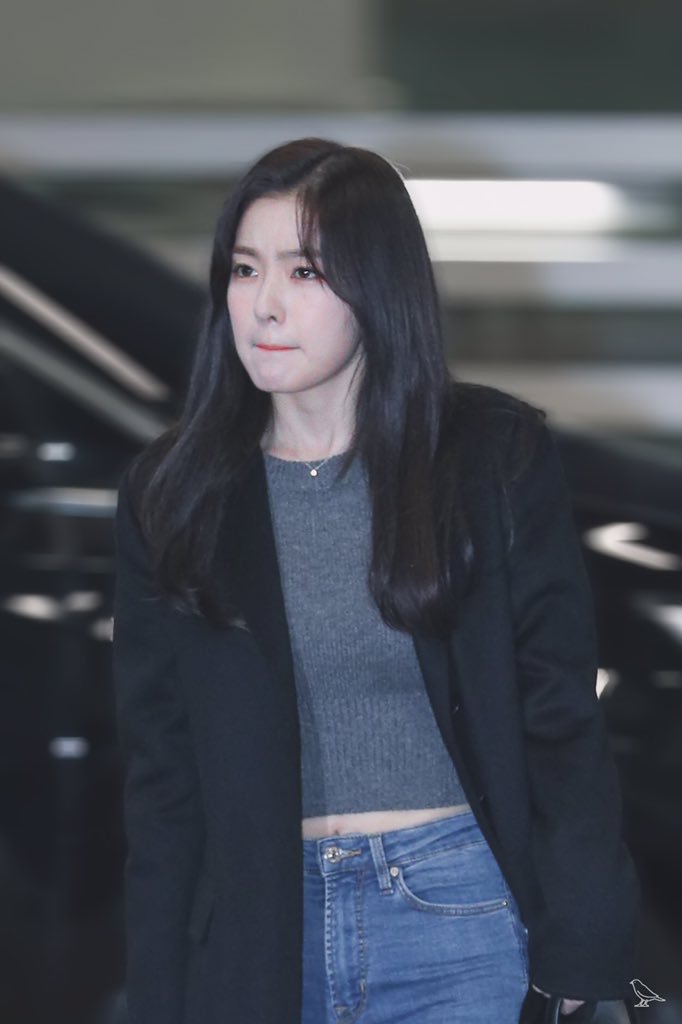 2019 AAA 레드벨벳 아이린(+출입국사진).jpgif | 인스티즈