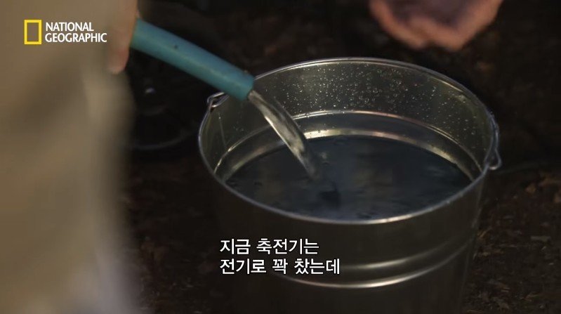 수박 안에 1만 볼트를 내보내면 생기는 일 | 인스티즈