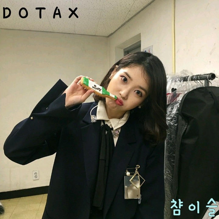 말라뮤트와 허스키 구분법 | 인스티즈