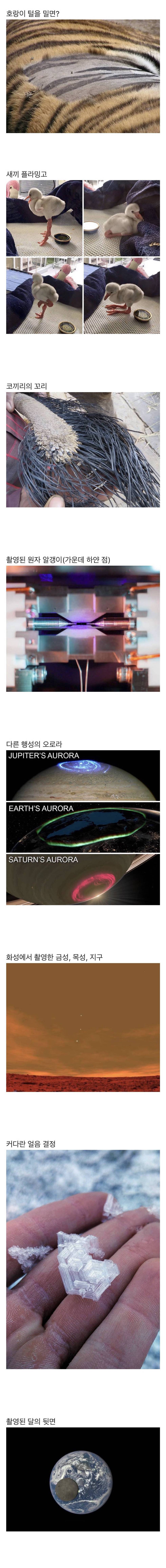 평소에 보기 힘든 사진들 | 인스티즈