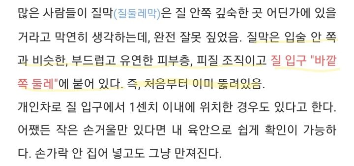 너네 * 쳐녀막 대체어 * 프로젝트 진행된거 혹시 알고 있니?(성에 대해 궁금하고 무지해도 다 들어와라) | 인스티즈