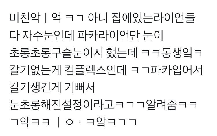 패딩 라이언만 눈이 초롱초롱한 이유.twt | 인스티즈