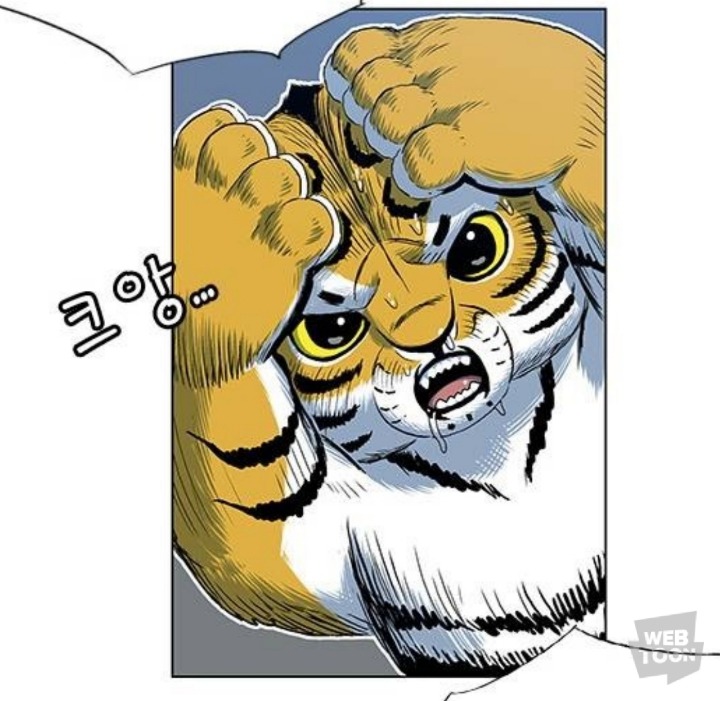 호랑이 형님 속 애기냥이 무케 모음 | 인스티즈