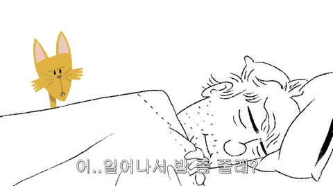 [동물] 고양이의 속마음 | 인스티즈