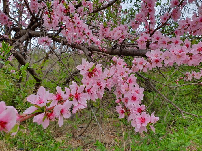 996261395CBACF40354B71