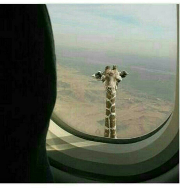 대*****물 이미지