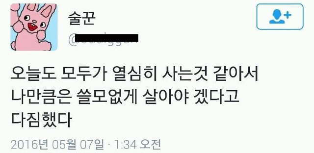 욜로 이미지