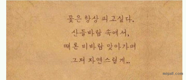 그림 그리기를 좋아하던 아이.jpg | 인스티즈