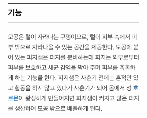 몸매 기준만큼 엄격한 "좋은 피부"에 대한 강박관념 | 인스티즈