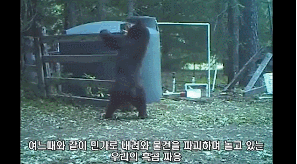 남자만 아는 고통.gif | 인스티즈