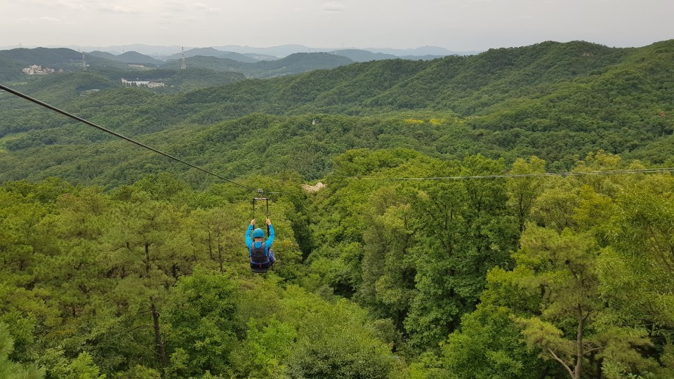 영인산수목원 이미지