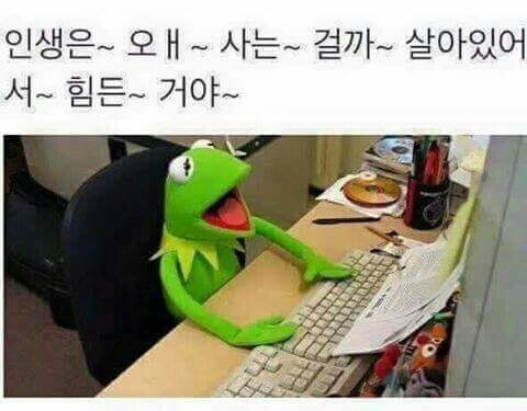 죽고싶을때 | 인스티즈