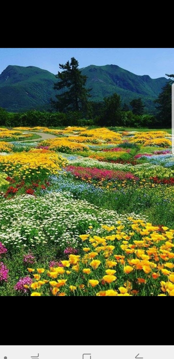 산아래 이미지