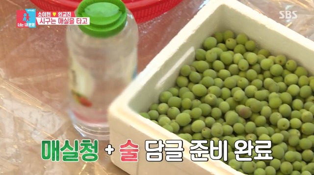 [동상이몽2] 매실주 담는게 너무 행복한 소이현 | 인스티즈