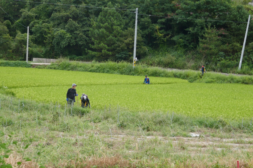 황산주유소 이미지