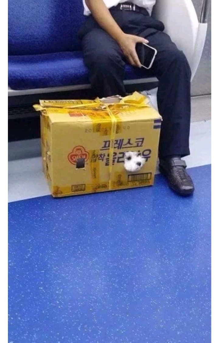큰집 이미지