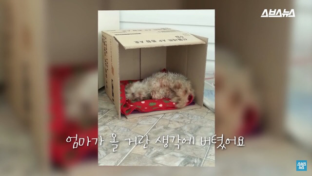  사람들이 홍대에서 인형을 뽑다 우는 이유는? | 인스티즈