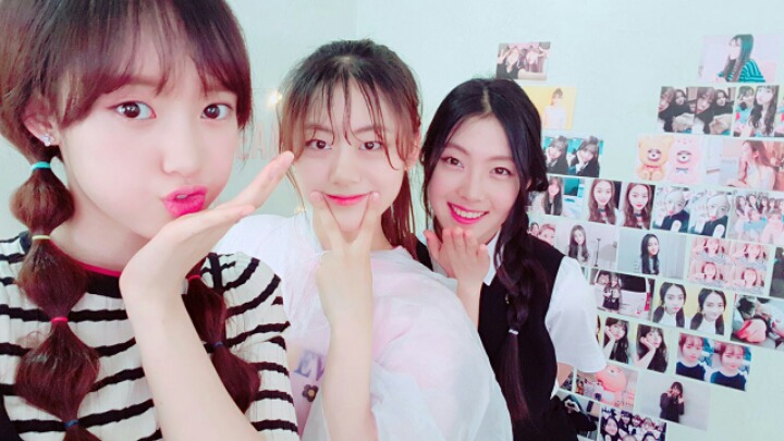 위미 이미지
